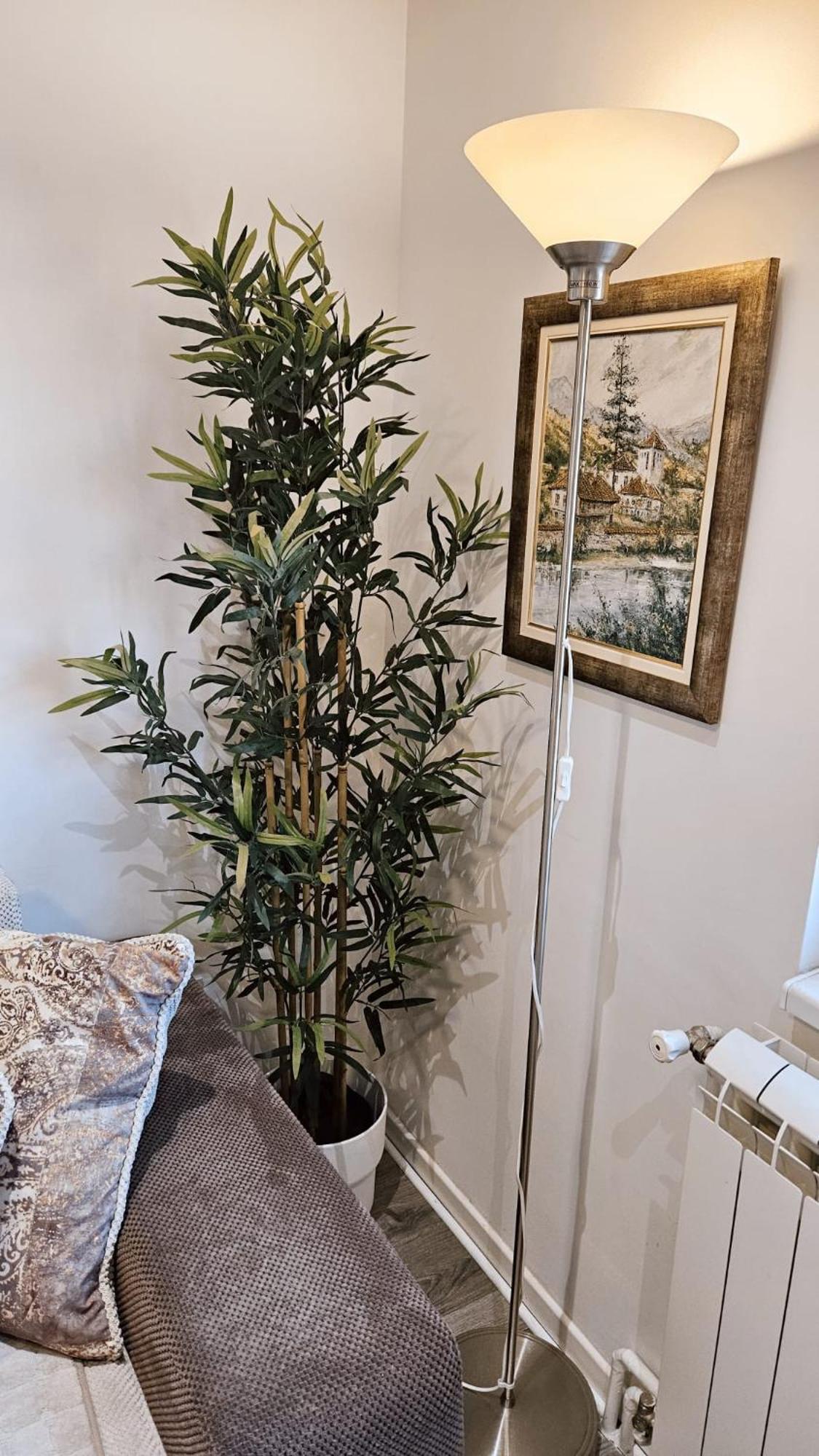 Appartamento Dorcol Deluxe